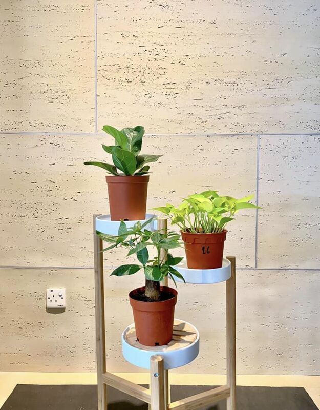 Tấm Travertine linh hoạt Tấm đá Travertine 3d Tấm ốp linh hoạt Ms Travertine Gạch bên ngoài linh hoạt