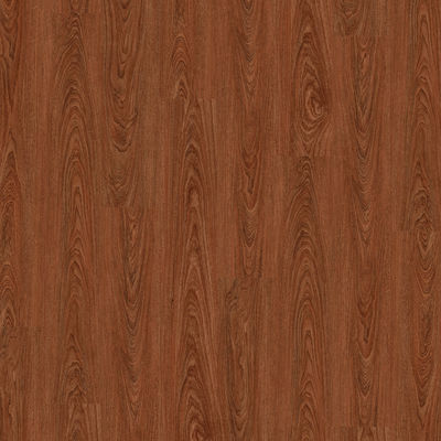 Phong cách hiện đại Sàn Spc trong nhà Sàn Spc Tấm giảm tiếng ồn