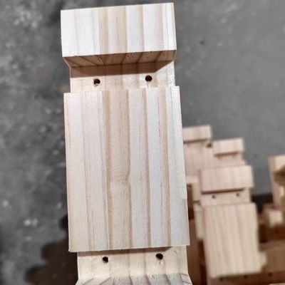 Thiết kế hiện đại Cửa gỗ ngoài trời Căn nhà vườn gỗ thông chống nước