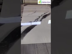 Màn hình tấm đá cẩm thạch tia cực tím hoàn thiện